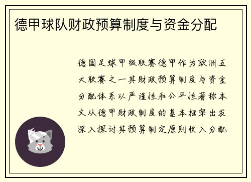德甲球队财政预算制度与资金分配